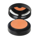 ‫رژ گونه نوت مدل Luminous Silk